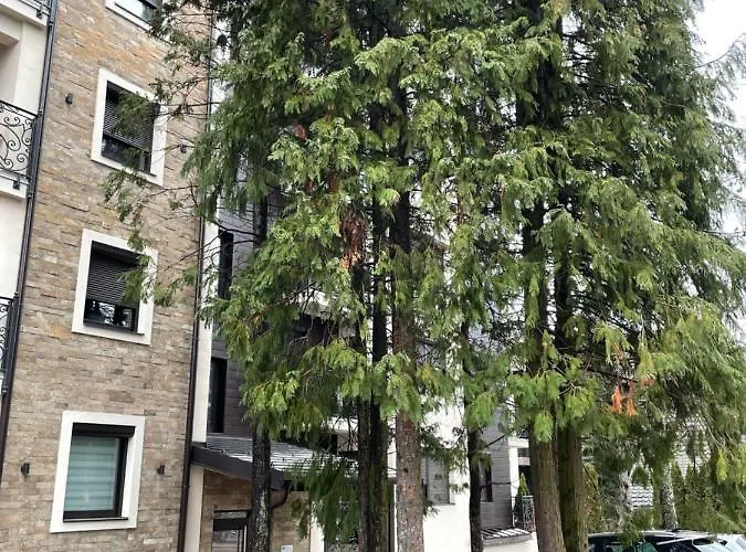 Blackwood Lejlighed Zlatibor